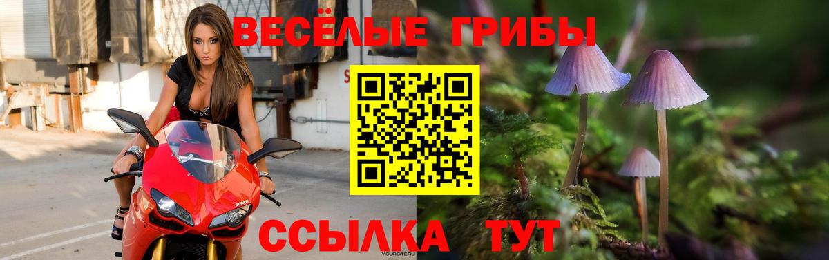 Галлюциногенные грибы прущие грибы  где можно купить наркотик  Урай  Вход с VPN 
